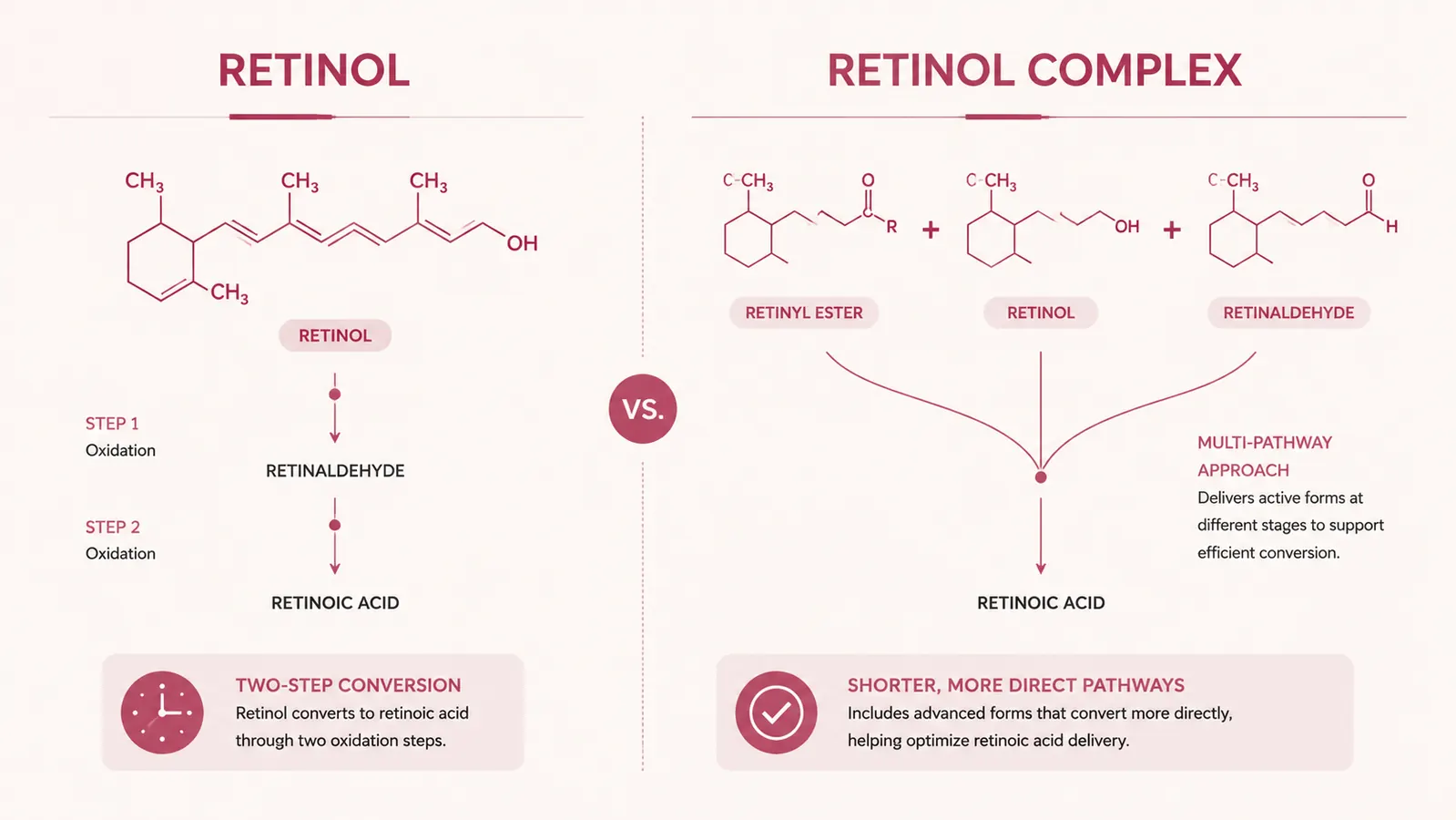 Close-up diagram showing the difference between retinol and retinol complex at the ingredient level